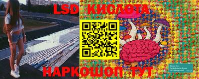 крисы Тара