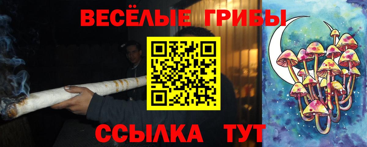 Псилоцибиновые грибы прущие грибы Азнакаево